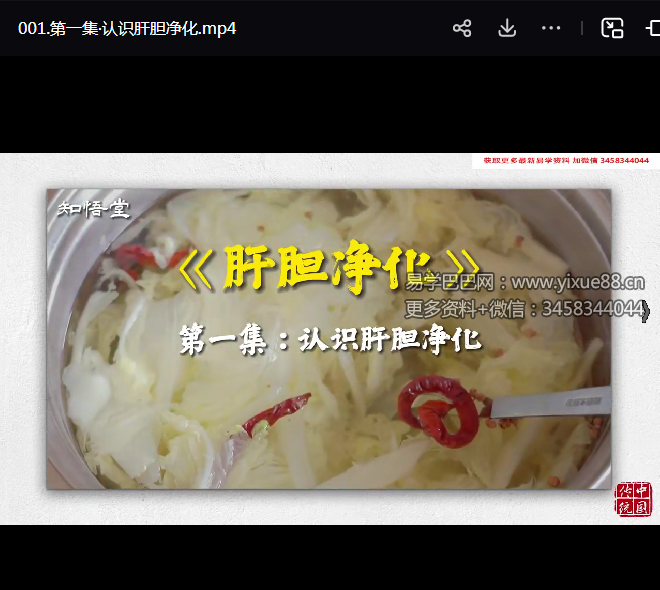 悟道堂-肝胆净化养生28集视频课程