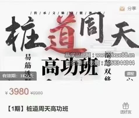 【桩功好课】桩道天周天高功班 七周49天练跟‬好课 全167讲频视‬课