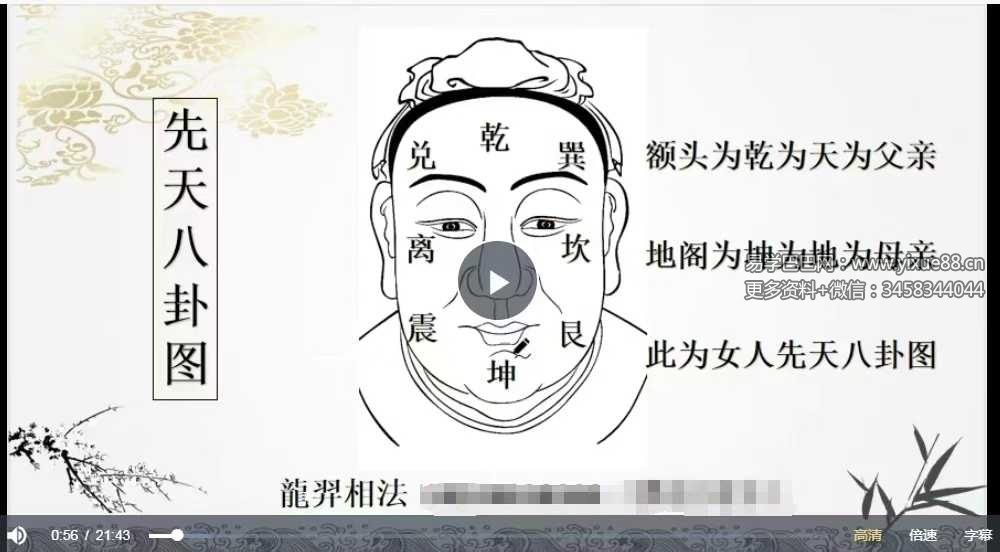 龙羿 面相弟子内训60集