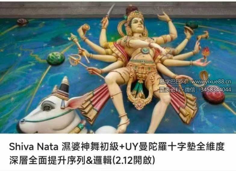 Shiva Nata 湿婆神舞初級+UY曼陀羅十字墊全維度深層全面提升序列&邏輯16集视频课